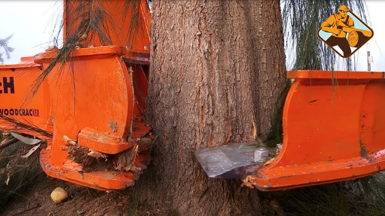 Incredible modern big wood cutting machines I ever see. amazing ...