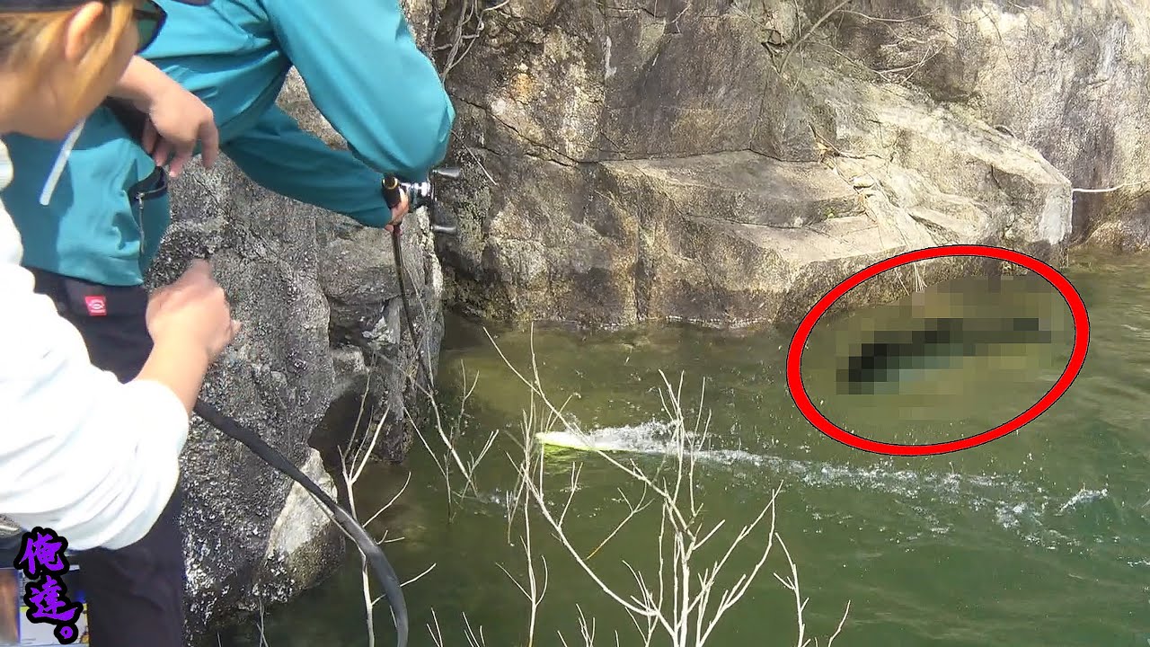 ３００ミリの巨大ルアーに襲い掛かる黒い影を「８の字」で…