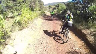 cerro azul 2016 zamora mich, mexico los perros