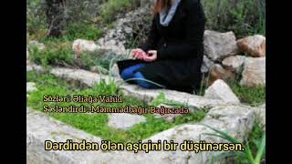 Əliağa Vahid - Məmmədbağır Bağırzadə (Bir gün gözəlim, məzarım üstən ötüşərsən)