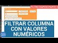 Filtrar columna con valores numéricos - Filtro rápido en Excel - Parte 3 @EXCELeINFO