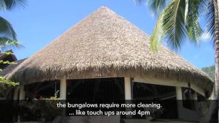 Palmex International, What Our Customers Say About Us - Episode 1