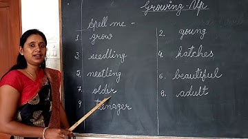 Class- II     Sub - EVS   Topic- Part 4 of Ch- 4 ( Growing up )