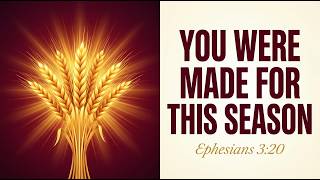 You Were Made for This Season - The Radiant Abundance Series Finale