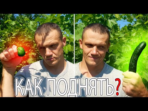 ТОП продуктов для Мужчин, которые поднимают ТЕСТОСТЕРОН