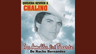 Video thumbnail of "Los Amables Del Norte - Quisiera Revivir a Chalino"