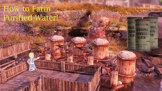 How to get a lot of purified water in Fallout 76