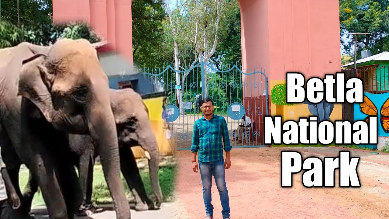 Betla National Park Jharkhand YouTube betla-national-park-jharkhand-youtube