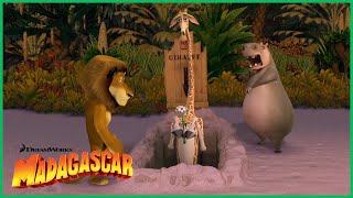 Como Escapar Da Ilha De Madagascar Dreamworks Madagascar Em Português