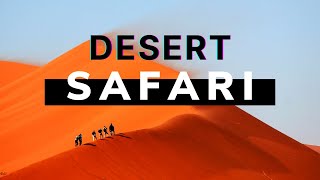 Desert Safari And Arabs Lifestyle - Dubai Desert Safari, Belly Dance and Tanora Show