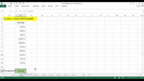 การใช้งาน_Excel_Case_17_การใช้ Function Count (การนับจำนวนเซลล์)