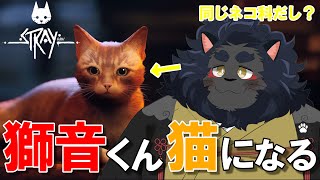 #2 【Stray】 ぐ~たらにゃんこ、探し物するってよ