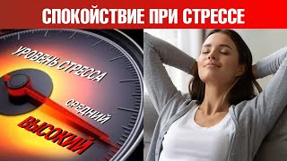 Волшебный способ сохранять спокойствие в стрессовых ситуациях🧐