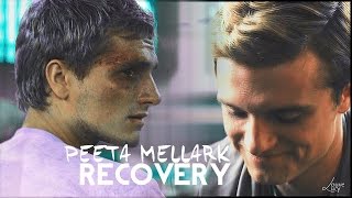 Peeta Mellark | Recovery [THGC]