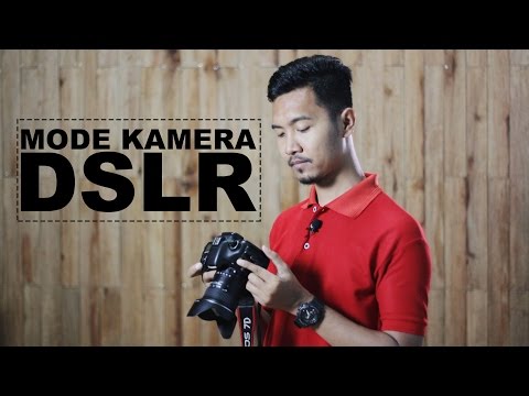 What Canon Kamera Dslr