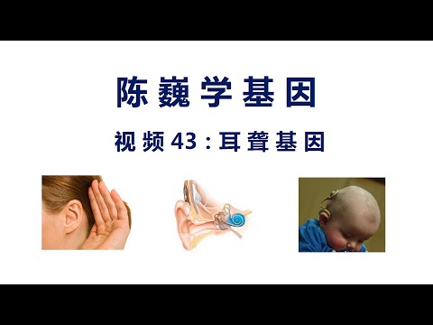 【陈巍学基因】视频43：耳聋基因