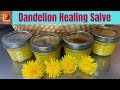 Dandelion Healing Salve - Natural Remedy for Dry Hands!