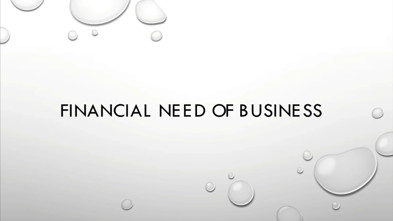 Financial Needs of Business (student short report)