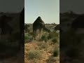 اليزي طارات 