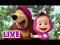 🔴 LIVE 🐻👧 Masha y el Oso 2024 🐾 Para los que vagan 🎬 Masha and the Bear