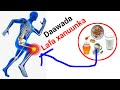 Caafimaadka Lafaha Sameey 3 Daan Sheey Si Joogta Ah Marwalbo 🥠✠✠✠✠🥠🥠🥠Caafimaadka Lafaha Sameey 3 Daan Sheey Si Joogta Ah Marwalbo 🥠✠✠✠✠🥠🥠рџҐ
