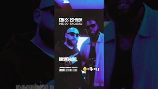 Stream + mix @NickoRebelMusic now from the FREE 𝗱𝗷𝗮𝘆 𝗠𝗨𝗦𝗜𝗖 collection inside the #djay app