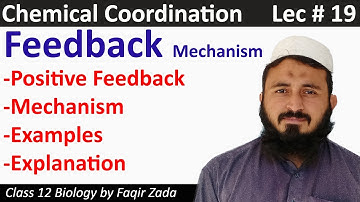 feeback mechanism part 2 || positive feedback|| chemical coordination class 12 || lecture 19