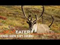 MeatEater S2-E09: True North: Alaska North Slope Caribou