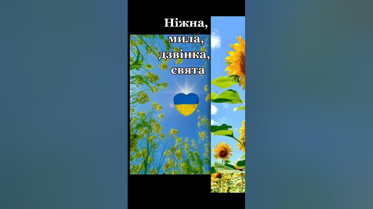 Яка наша мова. До Дня української мови та писемності. Прикметники до ...