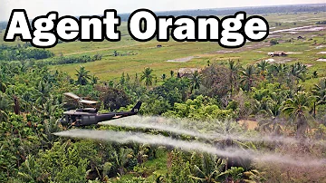 Pourquoi agent orange ?