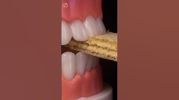 ASMR biting wafer close up macro #shorts #satisfying #closeup #asmr  #macro #relaxing #experiment