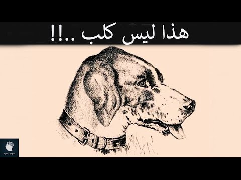 فيديو: 10 كلمات 