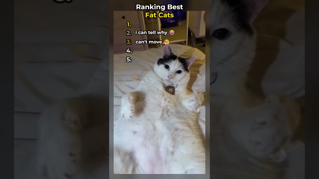 Ranking Fat Cats 