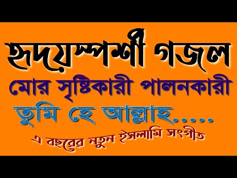 ভিডিও: পালনকারী সারেল কি খসড়া করা হয়েছিল?