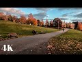 Walking Around Oslo, Norway - ASMR - 4K - 3D audio (Oslo, Noruega. Áudio 3D e 4K)