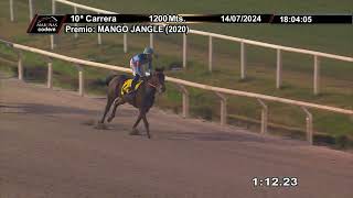 Vidéo de la course PMU PRIX MANGO JANGLE (2020)
