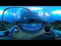 Georgia Aquarium: Ocean Voyager Tunnel Walk I - 360° VR