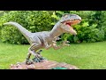 Extremely Detailed RAPTOR Sculpture made of Clay