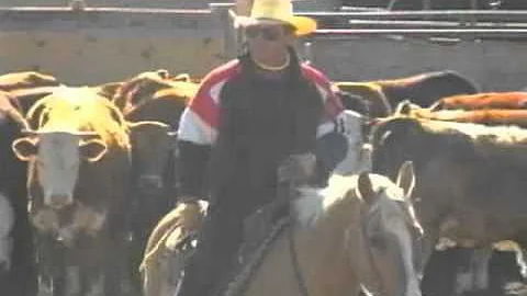 AWFB Bill Freeman Pfart 2