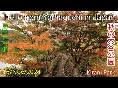 【秋の木谷公園】周南市高瀬 2024年11月18日