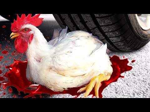 Crushing Crunchy & Soft Things by Car! EXPERIMENT: Car vs Mirinda Balloons Coca Cola, Fanta,