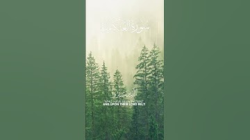 سورة العنكبوت| القارئ عبدالرحمن مسعد