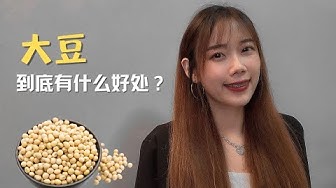 大豆 Youtube