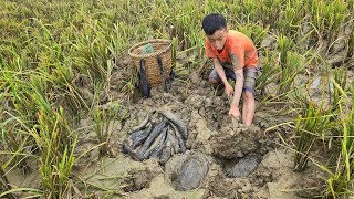 FULL VIDEO: 15 days An orphan boy khai makes traps for stream fish, catfish, and turtles to sell