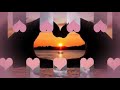معز الشاطئ همسة ريد اغاني سودانيه جديد 2021 معز الشاطئ همسة ريد اغاني سودانيه جديد 2021