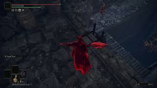Elden Ring PvP- A connection error occurred