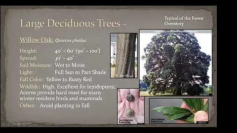 Julie Flanagan presents Selecting and Planting Tre...