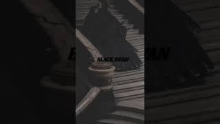 Im In Love With This Black Swan Violin Version