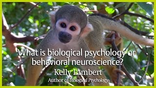 What is biological psychology or behavioral neuroscience?