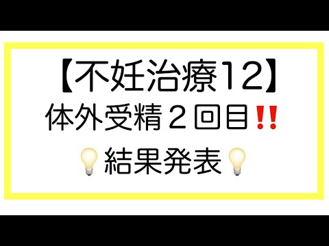 ＜不妊治療１２＞体外受精２回目！💡結果発表💡